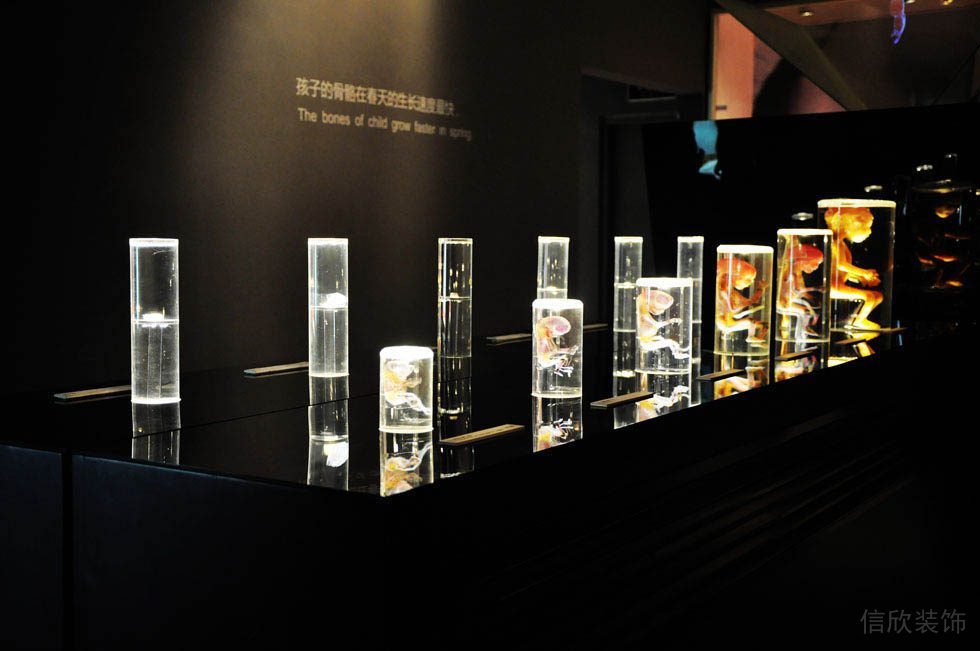 標(biāo)本展示臺